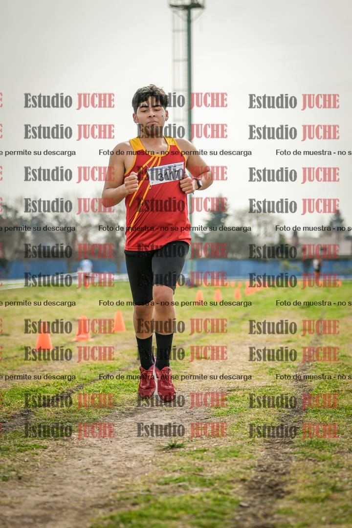 Fotos de la llegada del cross de 3000 m
