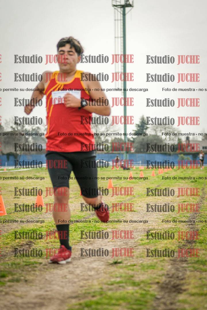 Fotos de la llegada del cross de 3000 m