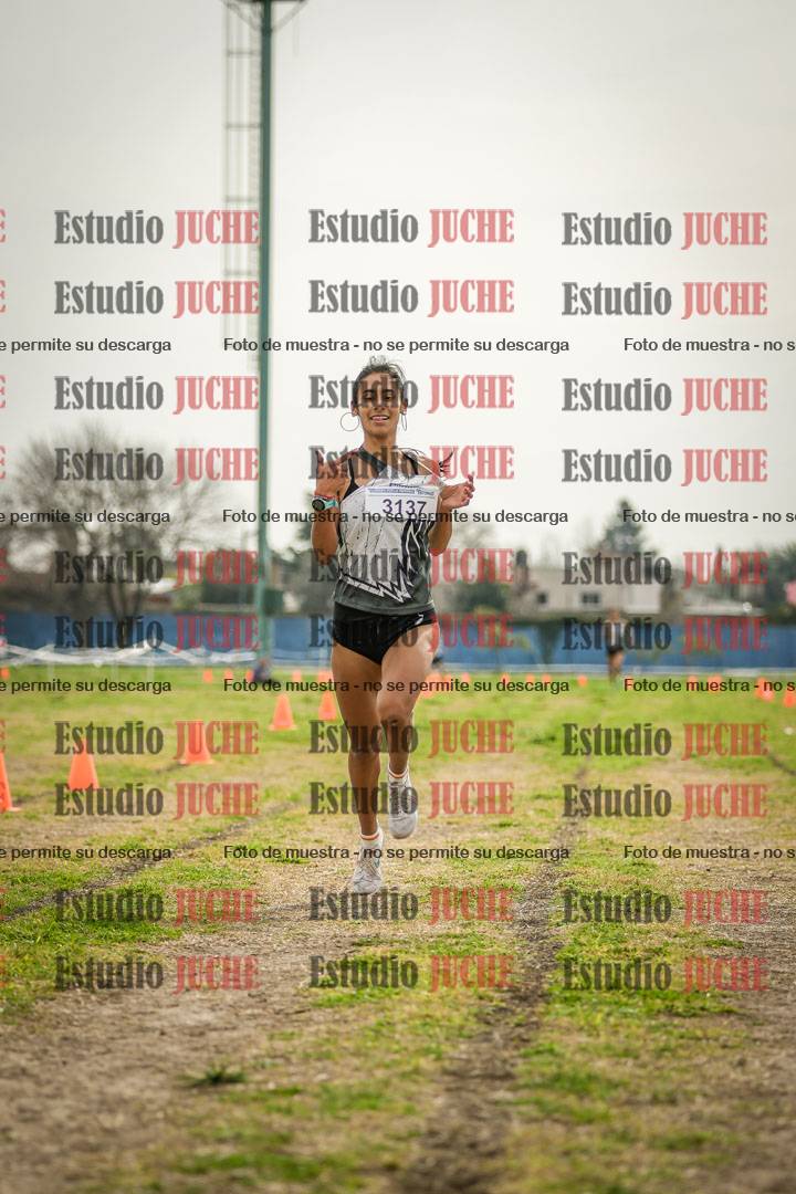 Fotos de la llegada del cross de 3000 m