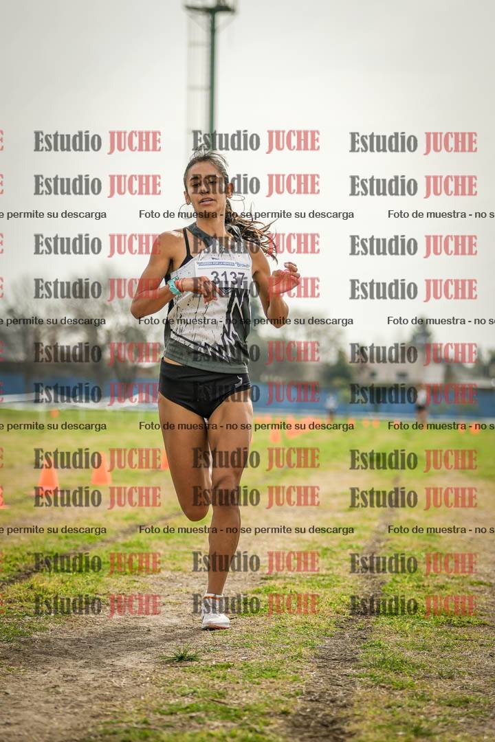 Fotos de la llegada del cross de 3000 m