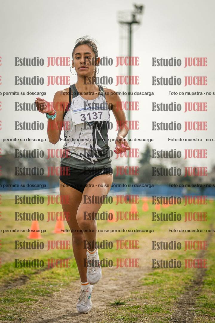 Fotos de la llegada del cross de 3000 m