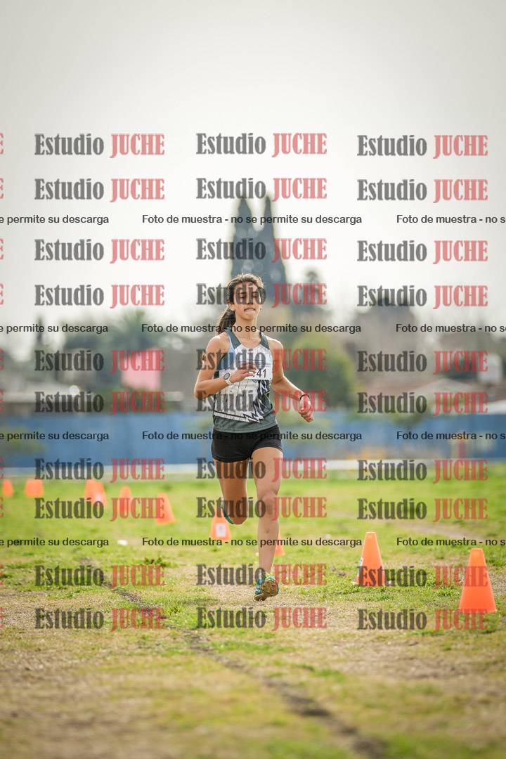 Fotos de la llegada del cross de 3000 m