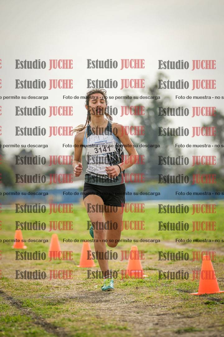 Fotos de la llegada del cross de 3000 m