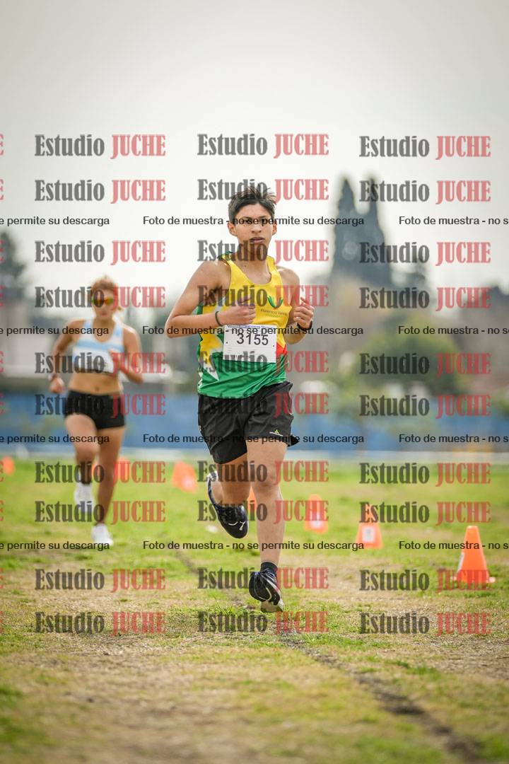 Fotos de la llegada del cross de 3000 m
