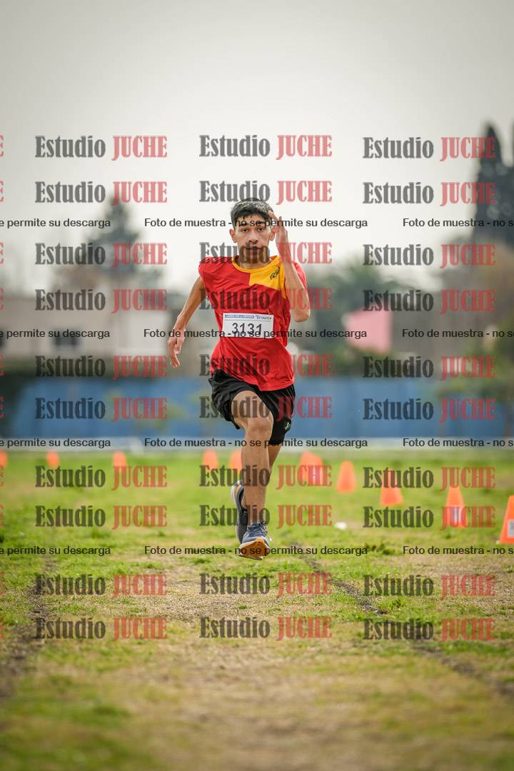 Fotos de la llegada del cross de 3000 m