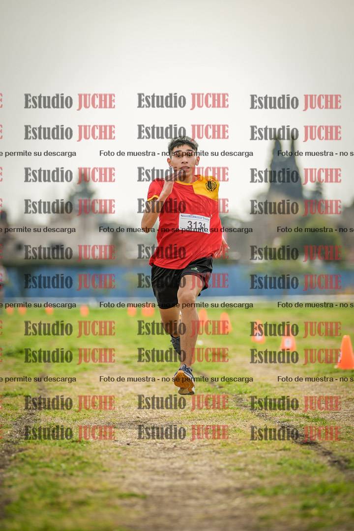 Fotos de la llegada del cross de 3000 m