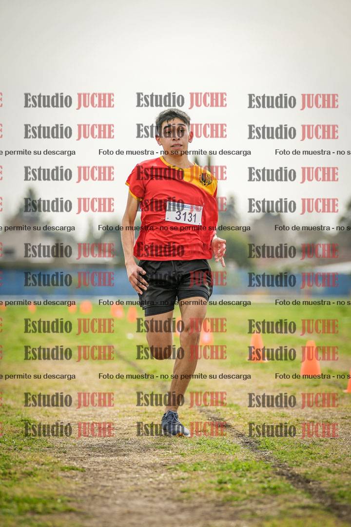 Fotos de la llegada del cross de 3000 m