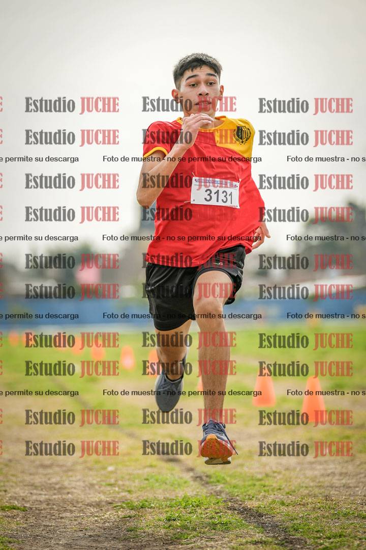 Fotos de la llegada del cross de 3000 m