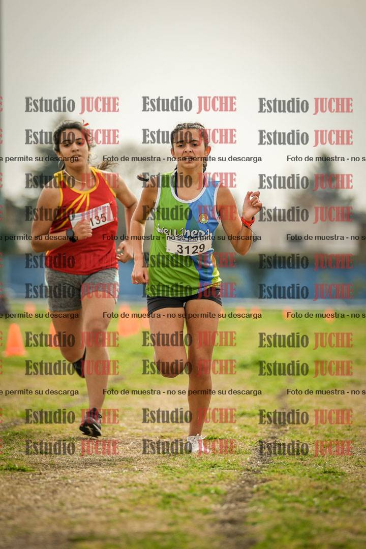 Fotos de la llegada del cross de 3000 m