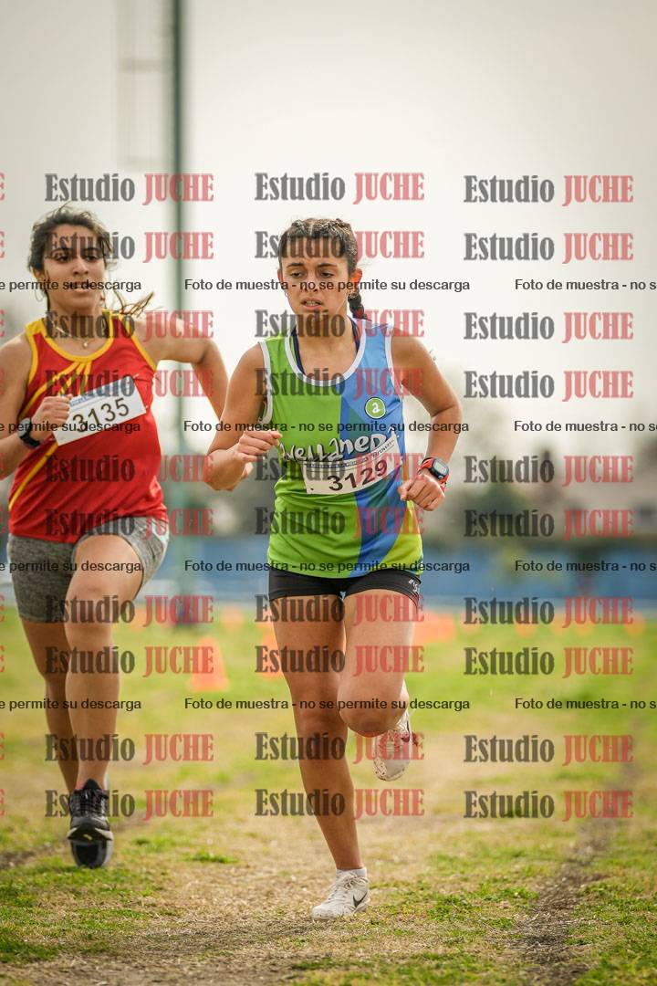 Fotos de la llegada del cross de 3000 m