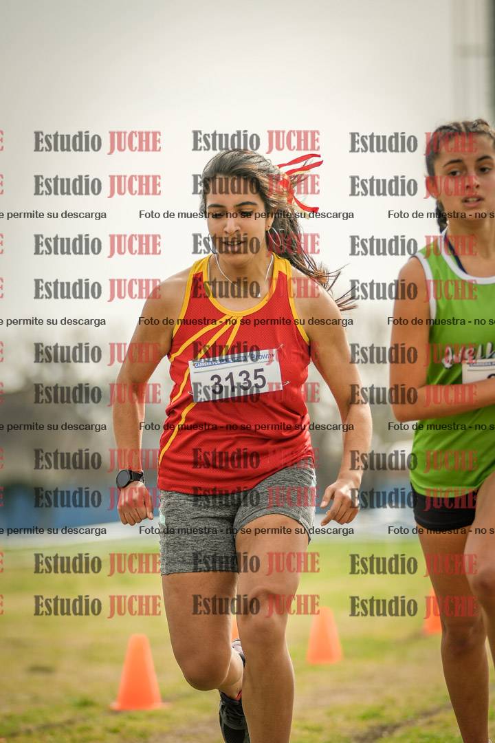 Fotos de la llegada del cross de 3000 m