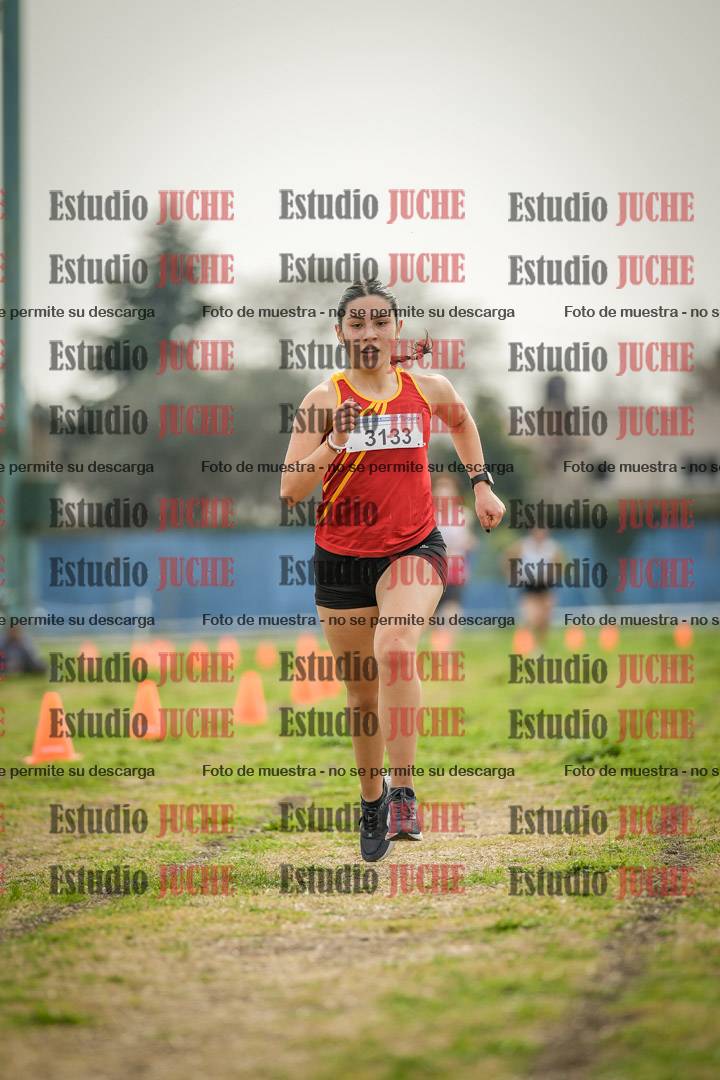 Fotos de la llegada del cross de 3000 m