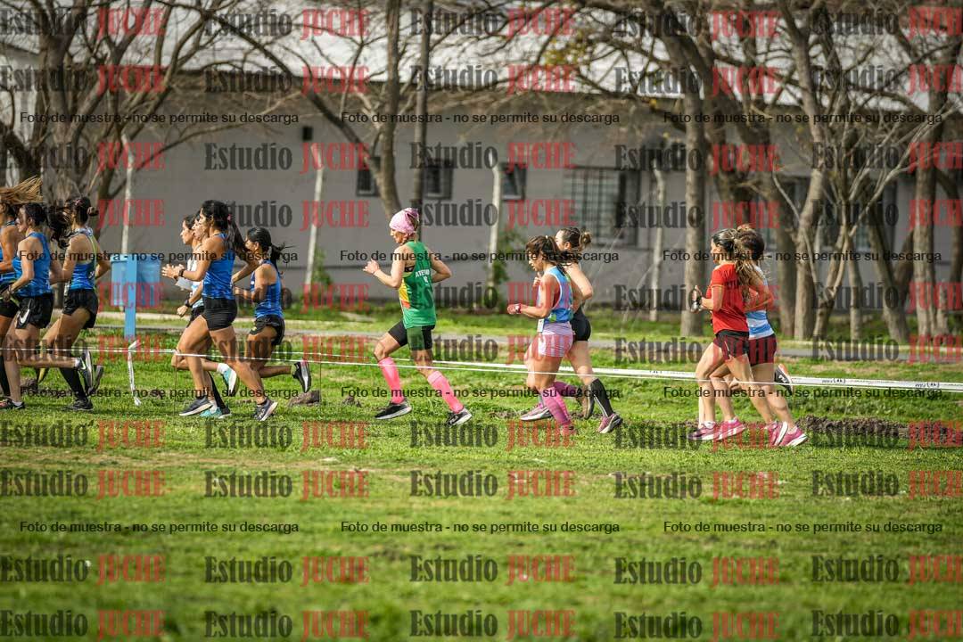 Fotos en de la largada