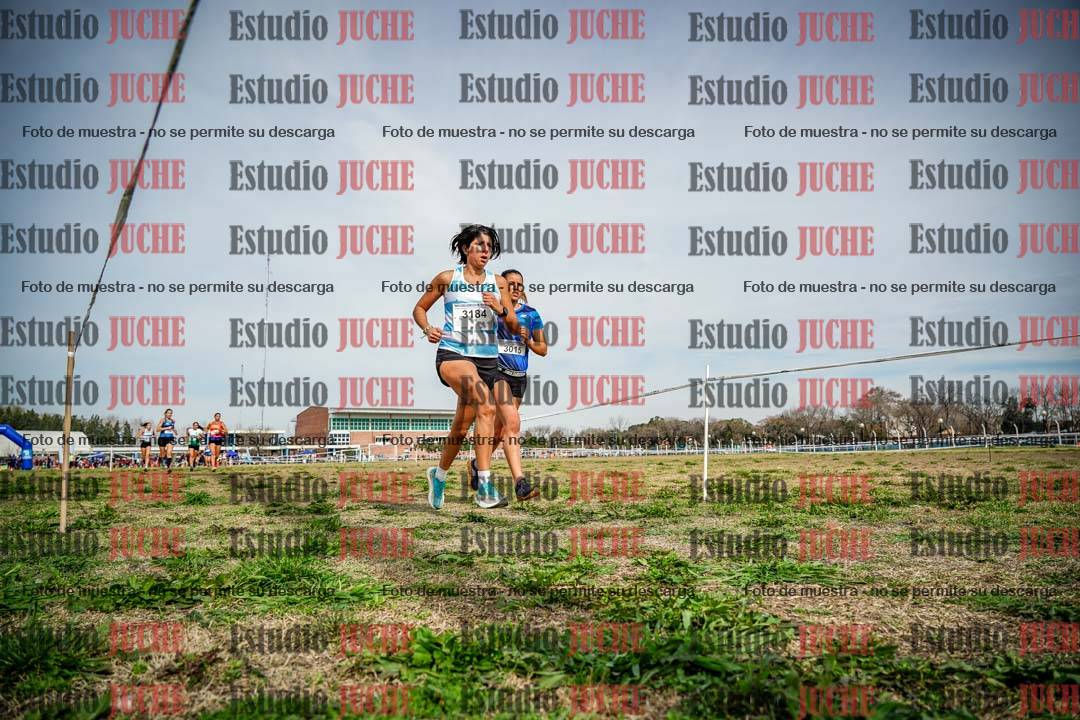 Fotos en el tercer punto del circuito