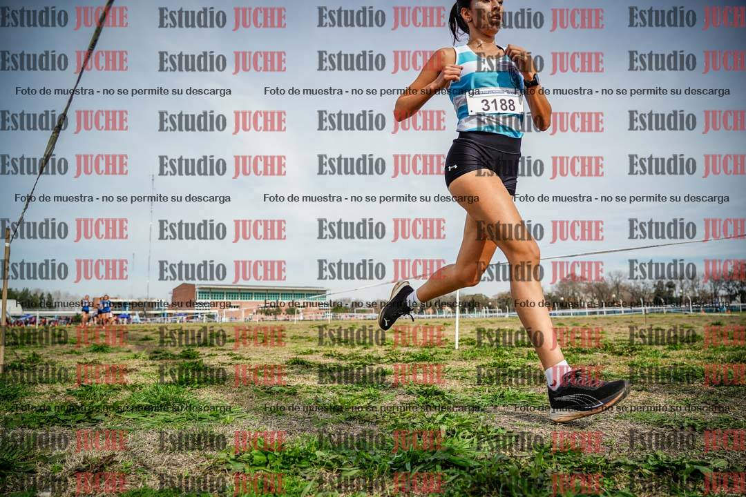 Fotos en el tercer punto del circuito