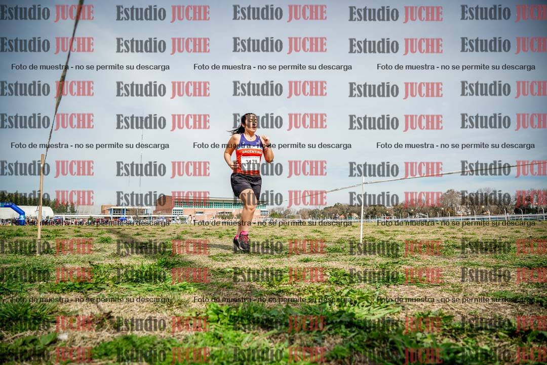 Fotos en el tercer punto del circuito
