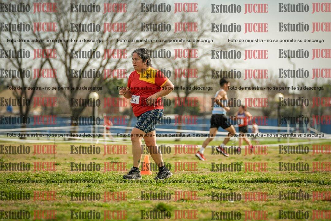 Fotos en el quinto punto del circuito