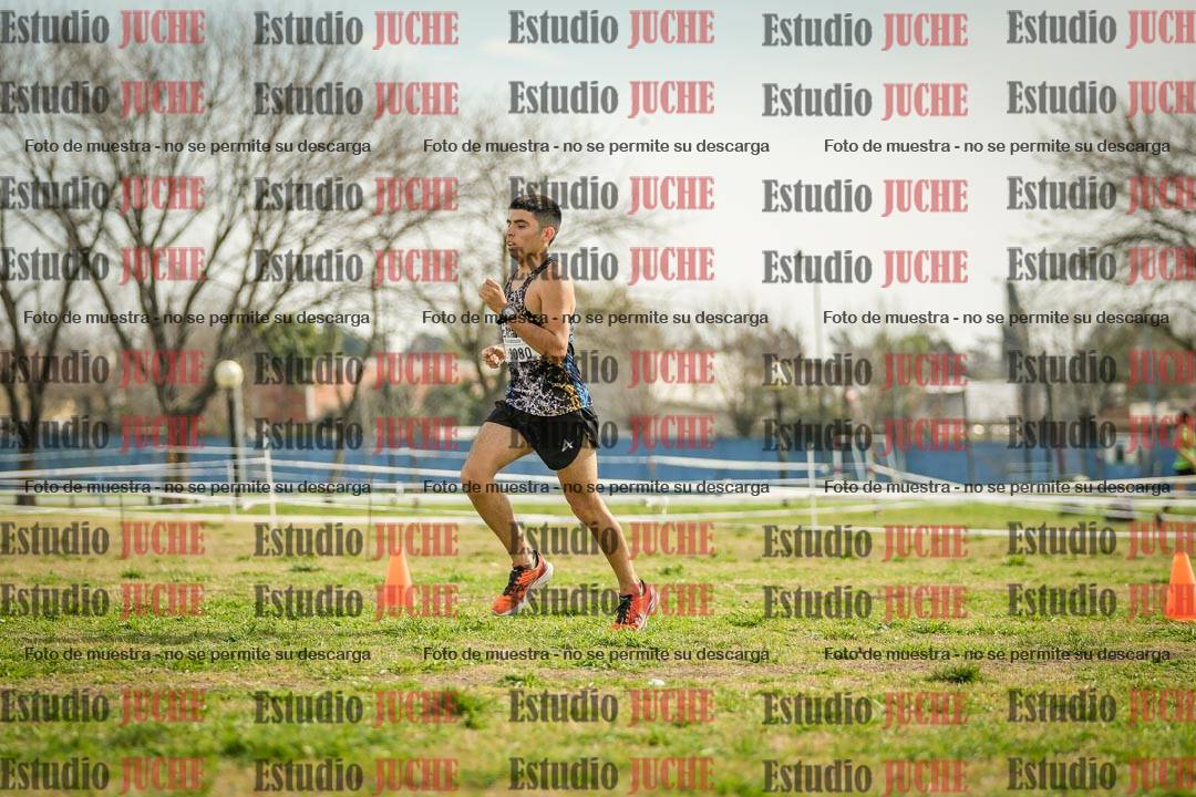 Fotos en el quinto punto del circuito