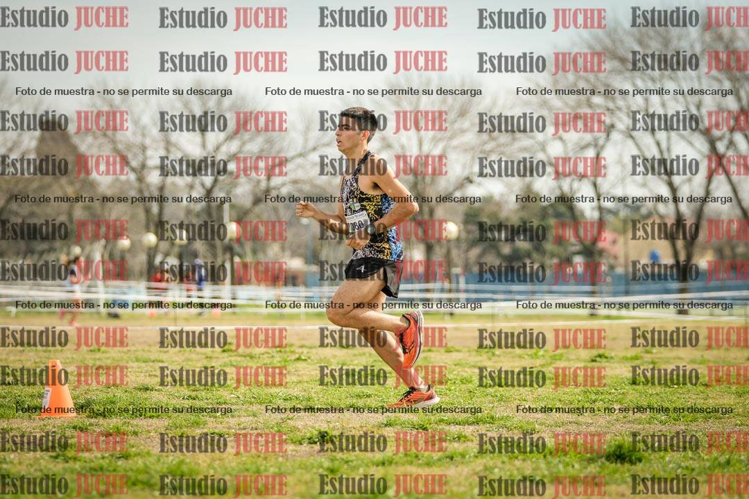 Fotos en el quinto punto del circuito