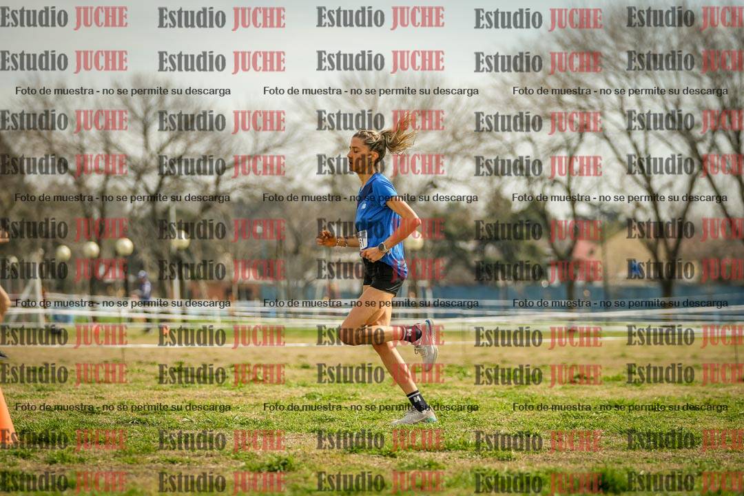 Fotos en el quinto punto del circuito