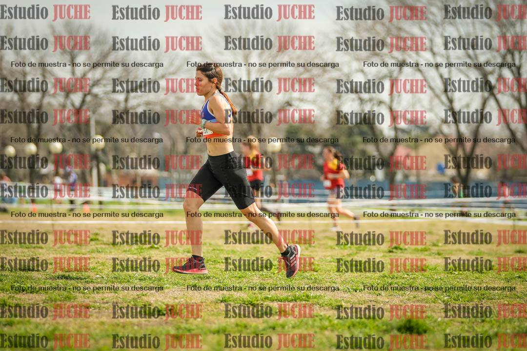 Fotos en el quinto punto del circuito