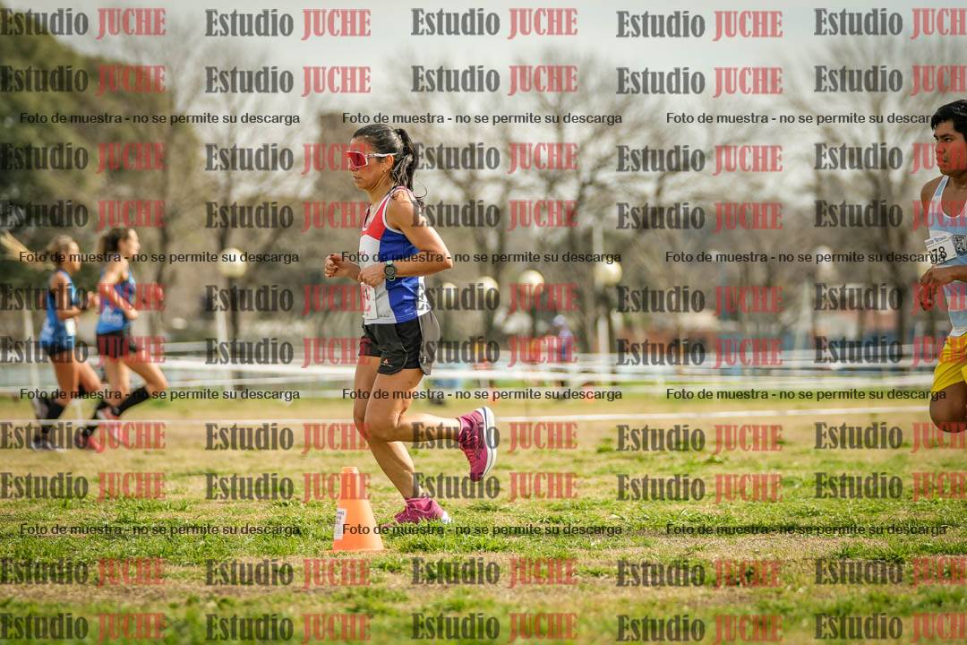 Fotos en el quinto punto del circuito