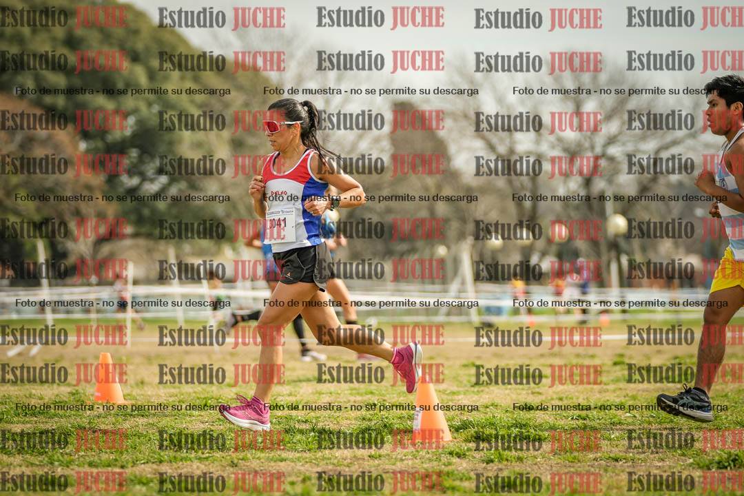 Fotos en el quinto punto del circuito
