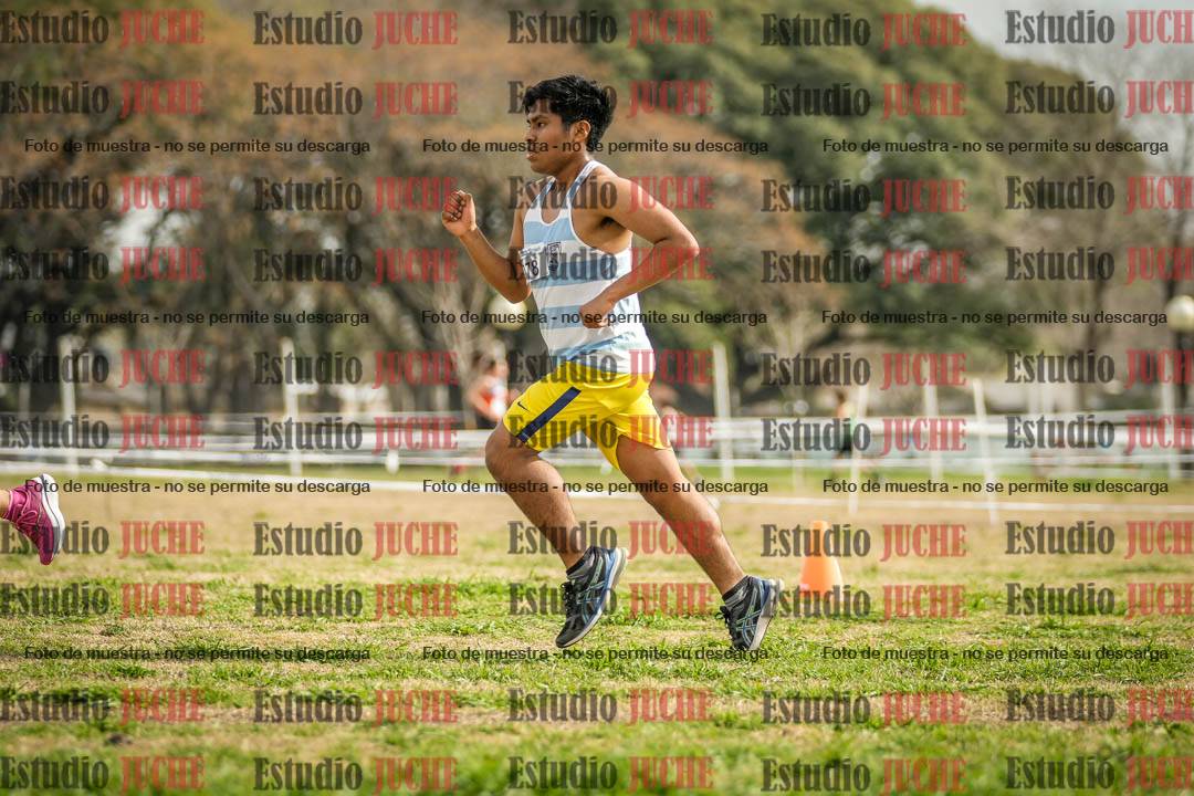 Fotos en el quinto punto del circuito