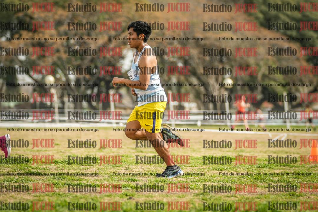Fotos en el quinto punto del circuito