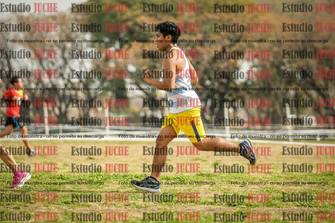 Fotos en el quinto punto del circuito