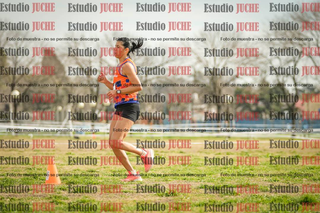 Fotos en el quinto punto del circuito