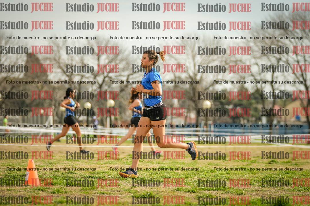Fotos en el quinto punto del circuito