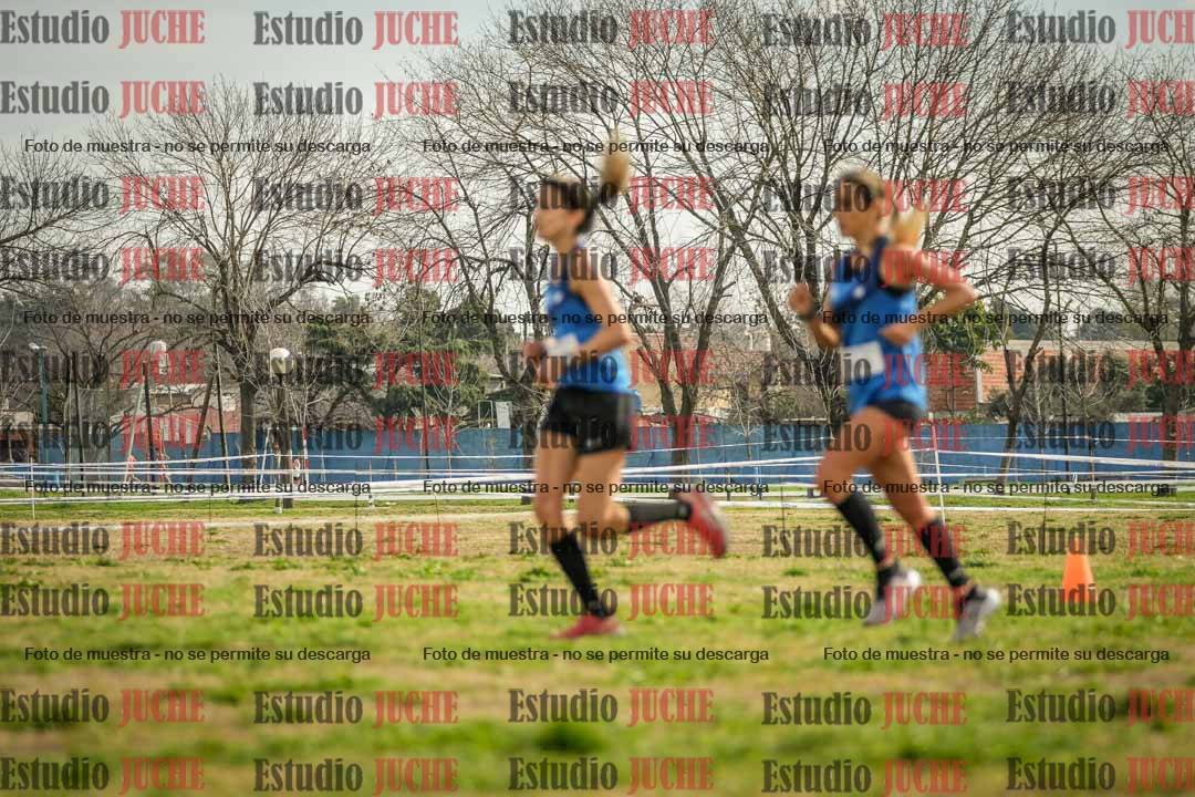 Fotos en el quinto punto del circuito