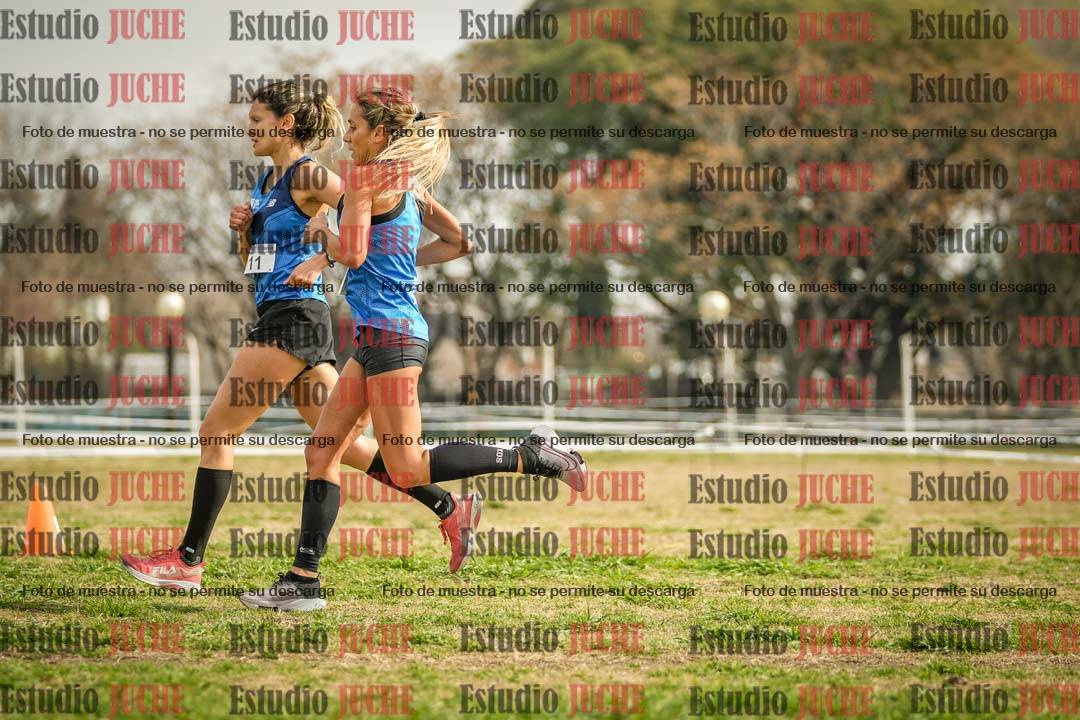 Fotos en el quinto punto del circuito