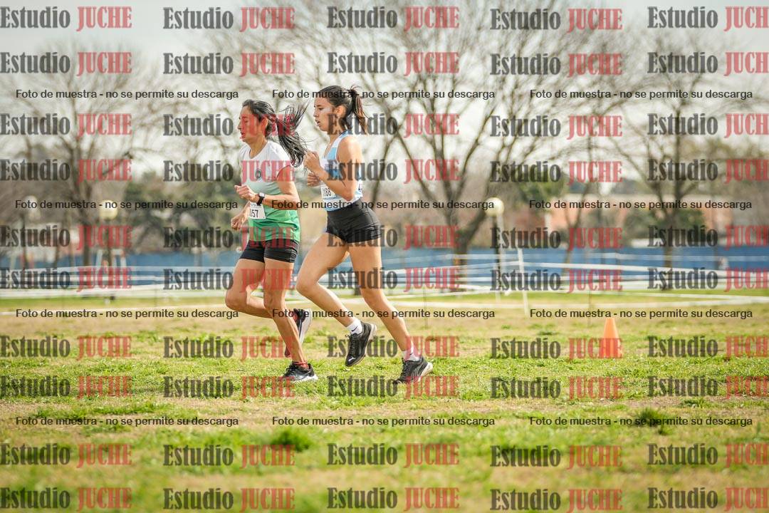 Fotos en el quinto punto del circuito