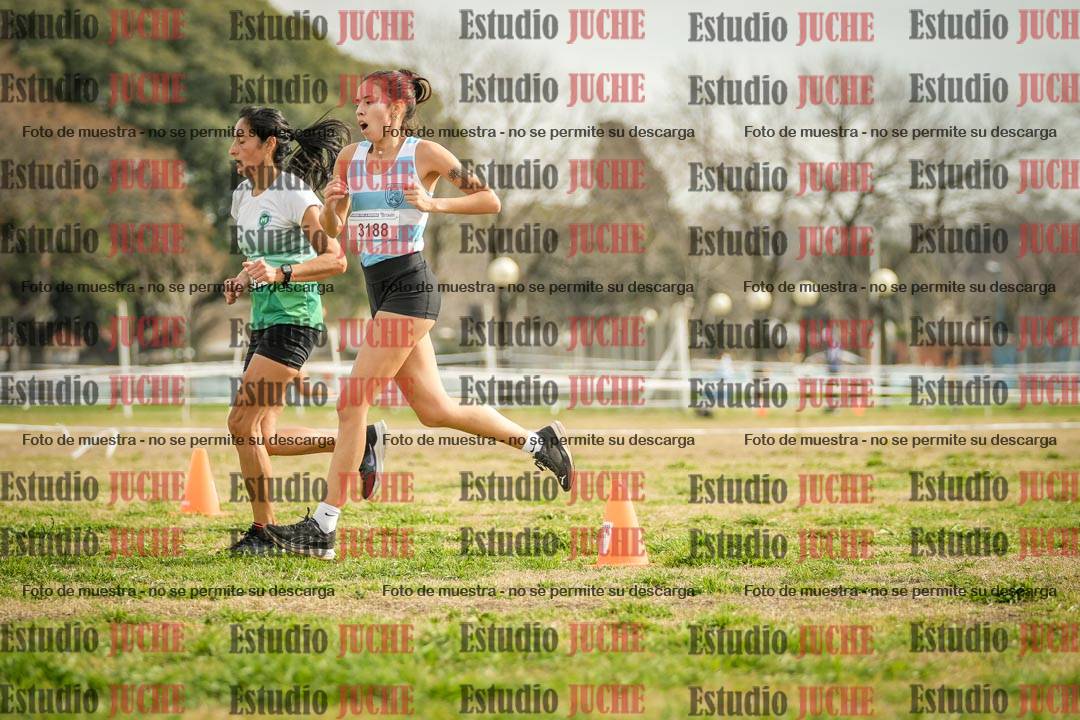 Fotos en el quinto punto del circuito