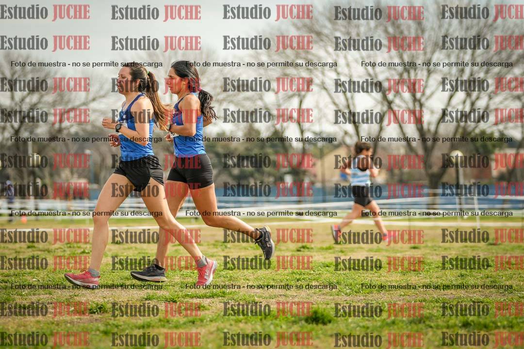 Fotos en el quinto punto del circuito