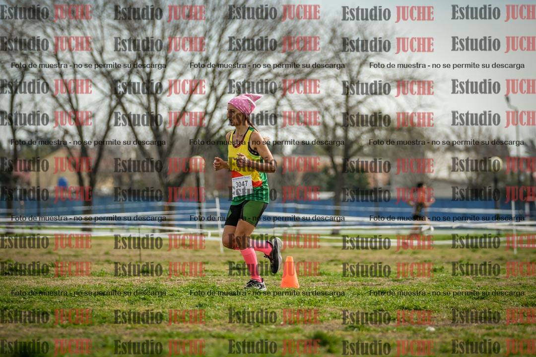 Fotos en el quinto punto del circuito