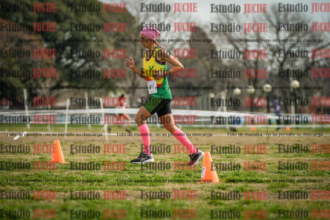 Fotos en el quinto punto del circuito