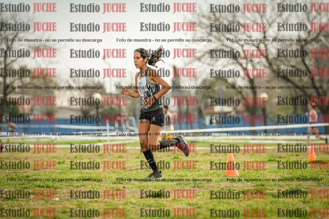 Fotos en el quinto punto del circuito