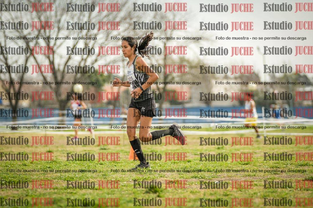 Fotos en el quinto punto del circuito