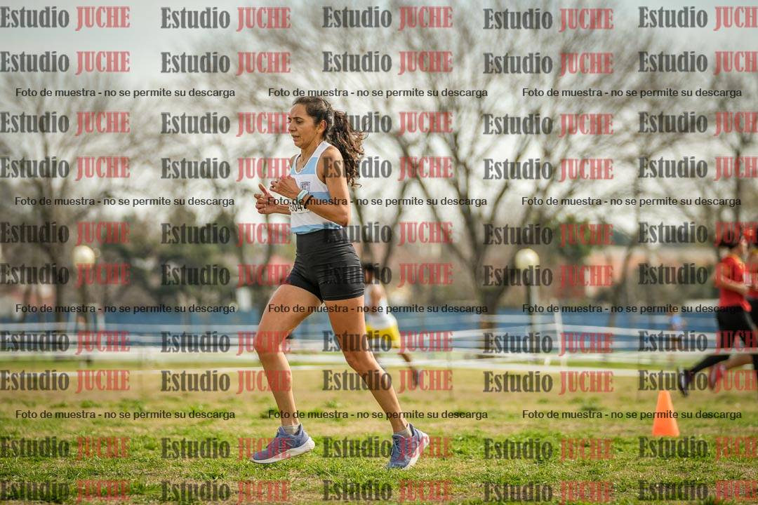 Fotos en el quinto punto del circuito