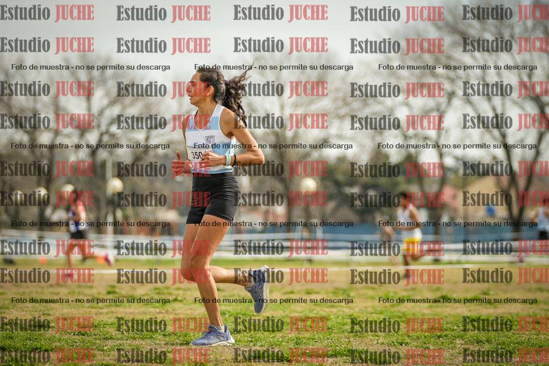 Fotos en el quinto punto del circuito