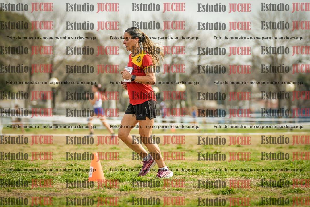 Fotos en el quinto punto del circuito