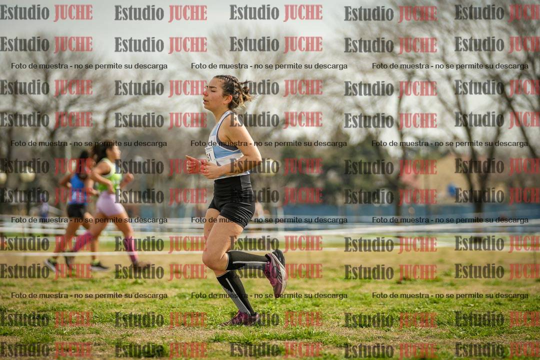 Fotos en el quinto punto del circuito