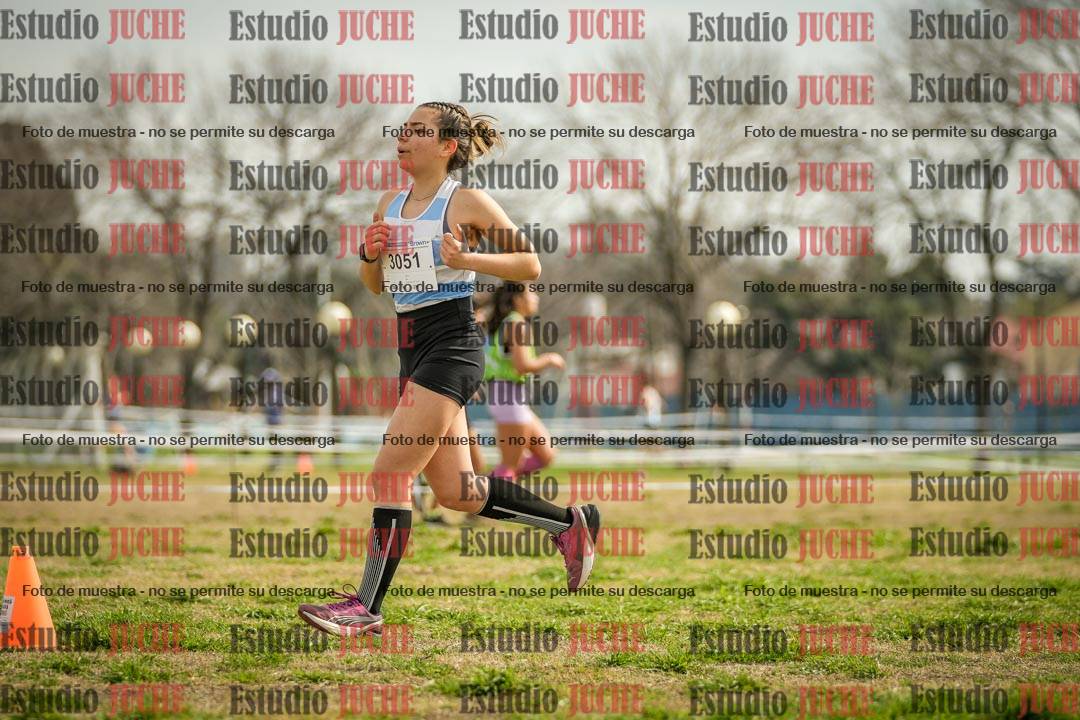 Fotos en el quinto punto del circuito