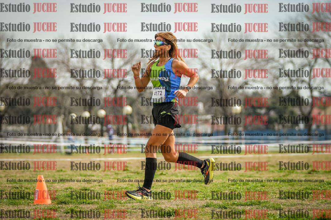 Fotos en el quinto punto del circuito