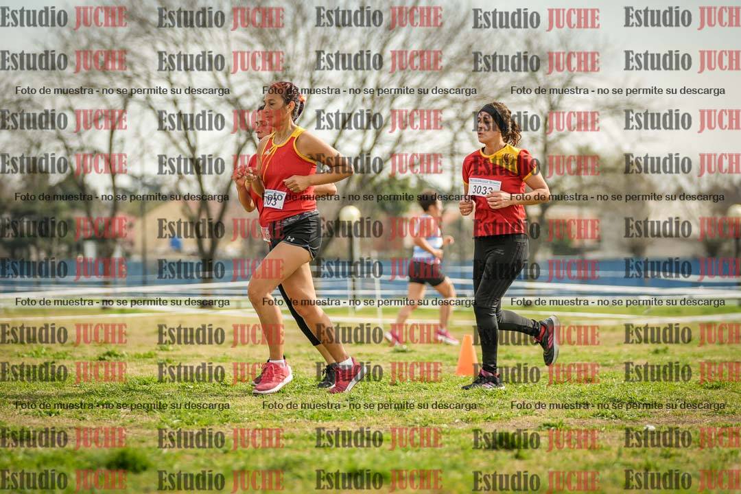 Fotos en el quinto punto del circuito