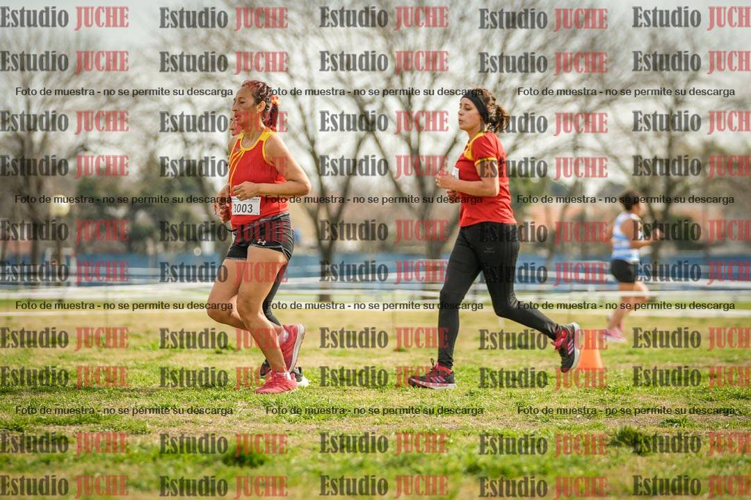 Fotos en el quinto punto del circuito