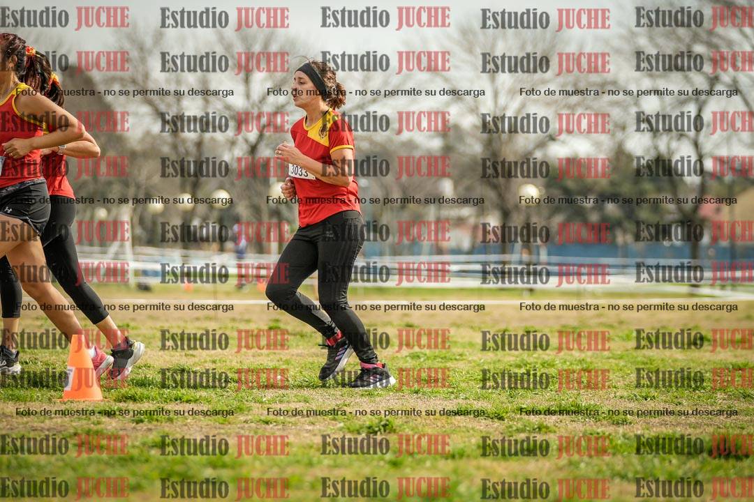 Fotos en el quinto punto del circuito
